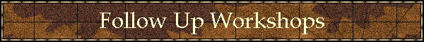 Follow Up Workshops